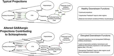 Dysbindin-1, BDNF, and GABAergic Transmission in Schizophrenia